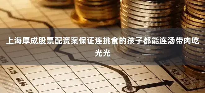 上海厚成股票配资案保证连挑食的孩子都能连汤带肉吃光光
