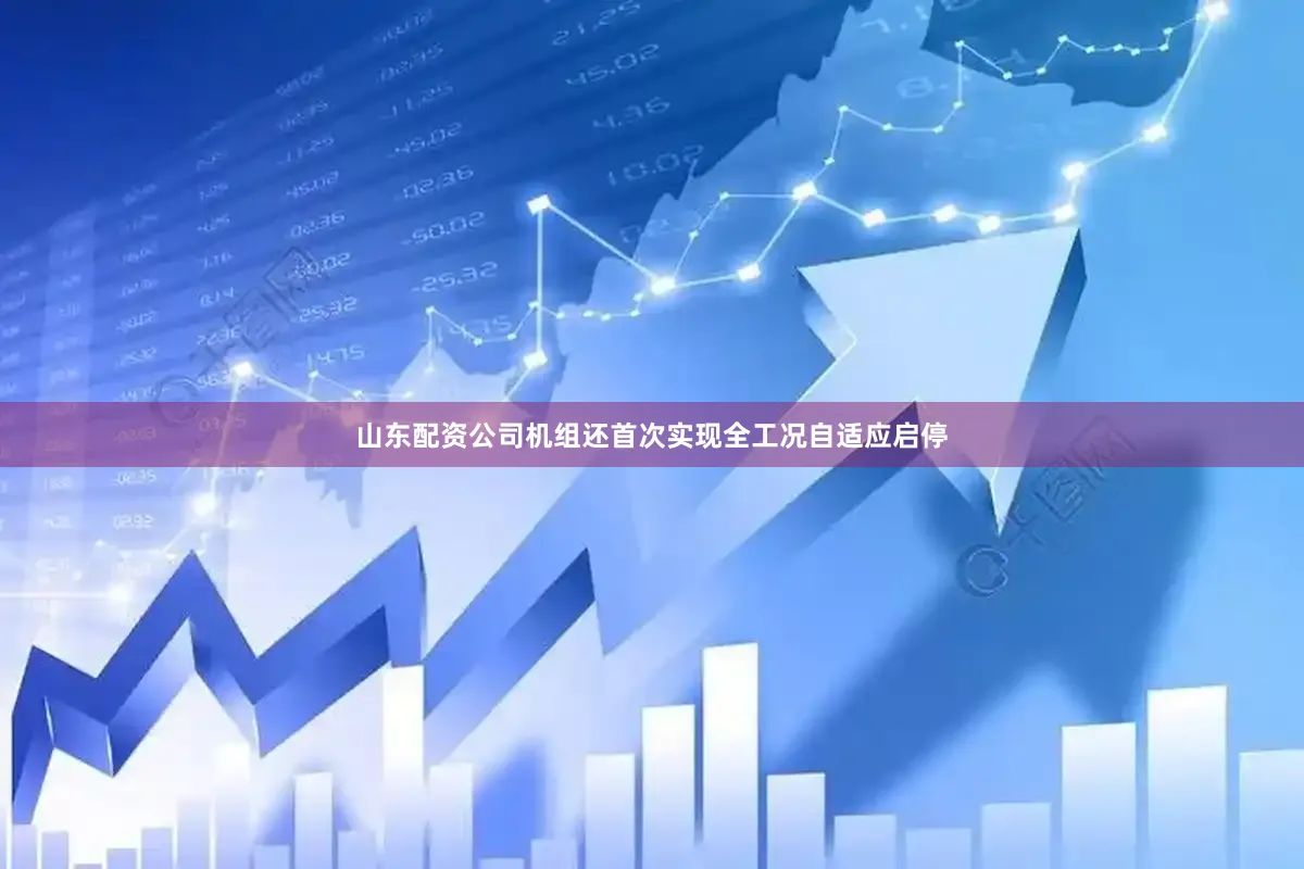 山东配资公司机组还首次实现全工况自适应启停
