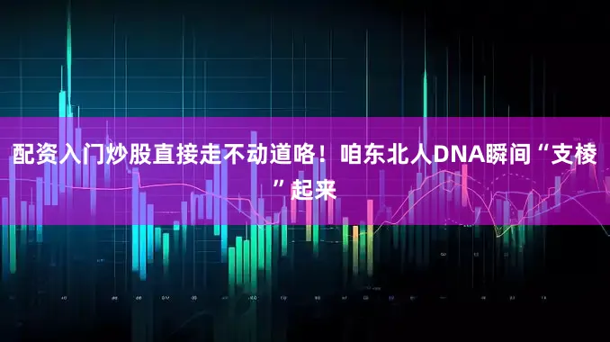 配资入门炒股直接走不动道咯！咱东北人DNA瞬间“支棱”起来