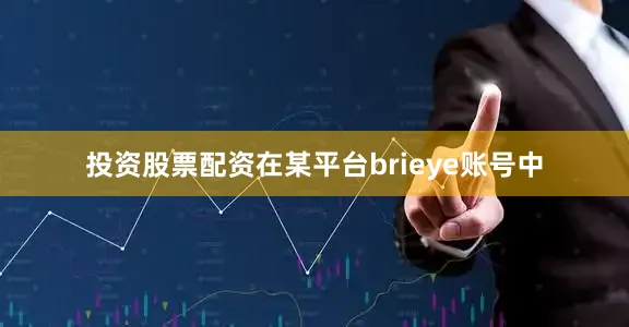 投资股票配资在某平台brieye账号中