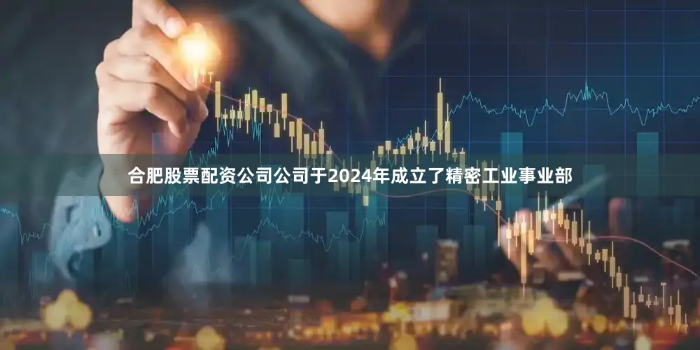 合肥股票配资公司公司于2024年成立了精密工业事业部